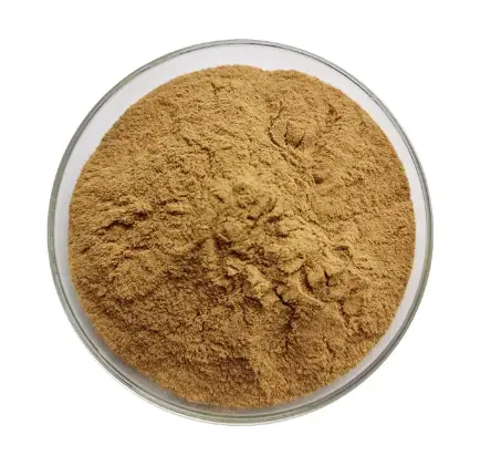 King Oyster Mushroom Extract Powder King Oyster Mushroom Extract Powder