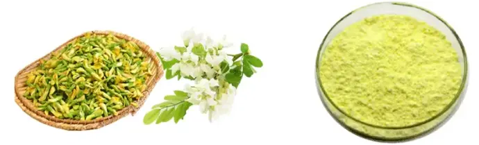 Kaempferol Powder