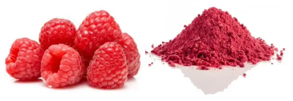 Raspberry Ketone Powder Raspberry Ketone Powder