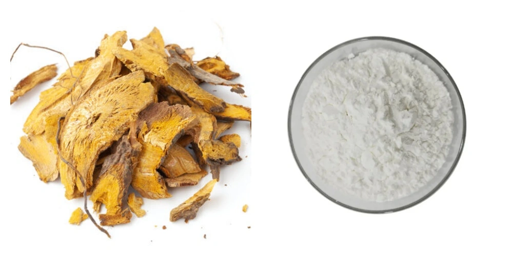 Resveratrol Powder Resveratrol Powder