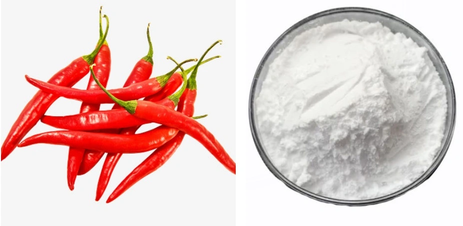 Capsaicin Powder Capsaicin Powder