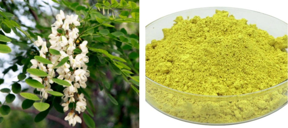 Quercetin Powder Bulk Quercetin Powder Bulk