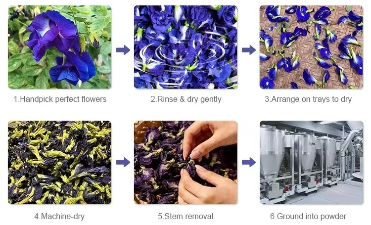 Butterfly Pea Flower Powder Butterfly Pea Flower Powder