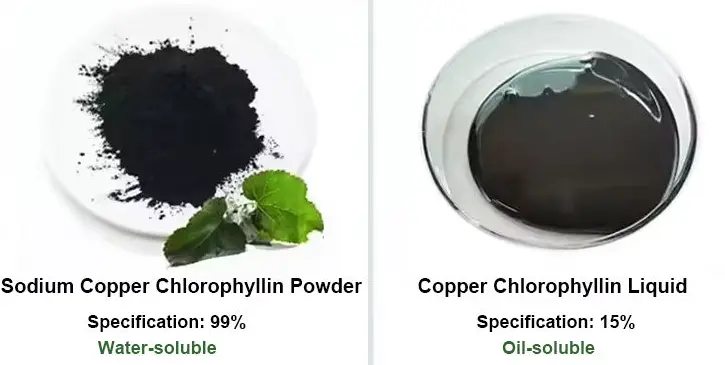 Chlorophyll Powder Chlorophyll Powder