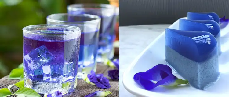 Butterfly Pea Flower Powder