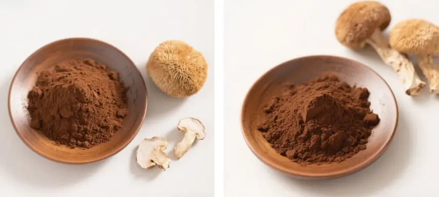 Lion's Mane Mushroom Extract Powder Lion's Mane Mushroom Extract Powder