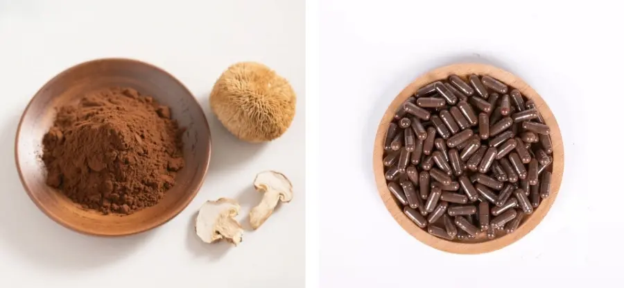 Lion's Mane Mushroom Extract Powder Lion's Mane Mushroom Extract Powder