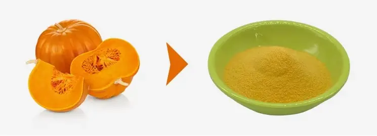 Pumpkin Powder
