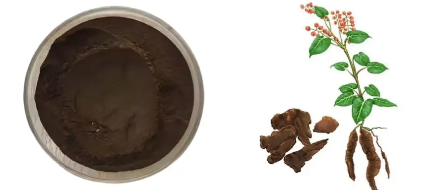 Bulk Fo-Ti Extract Powder
