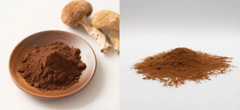 Lion's Mane Mushroom Extract Powder Lion's Mane Mushroom Extract Powder