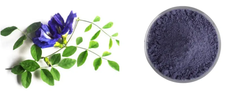 Butterfly Pea Flower Powder 