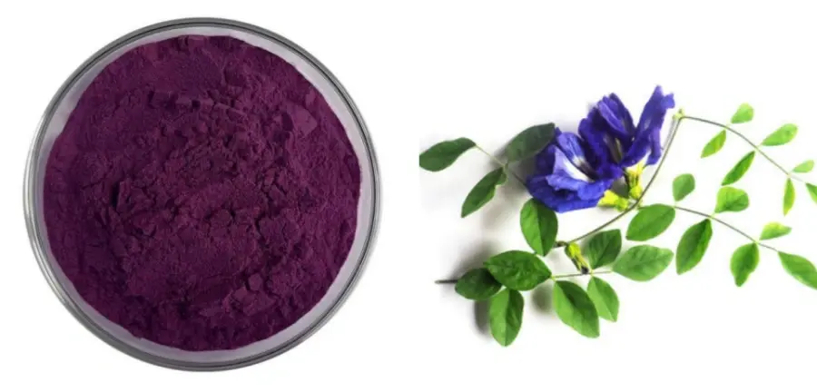 Butterfly Pea Flower Extract Powder