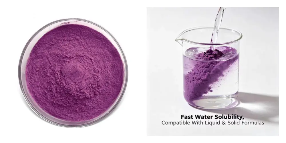 Ube Powder Ube Powder