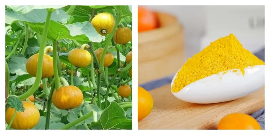 Pumpkin Powder Pumpkin Powder