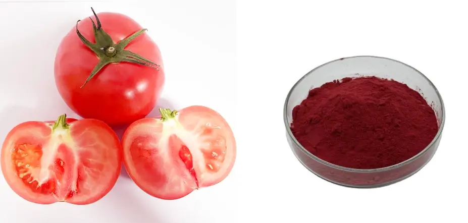 Bulk Lycopene Powder Bulk Lycopene Powder