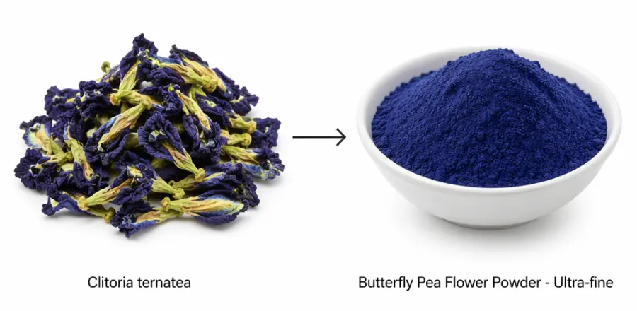 Butterfly Pea Flower Powder Butterfly Pea Flower Powder