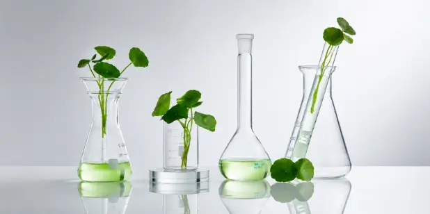 Plantenextracten van hoge zuiverheid