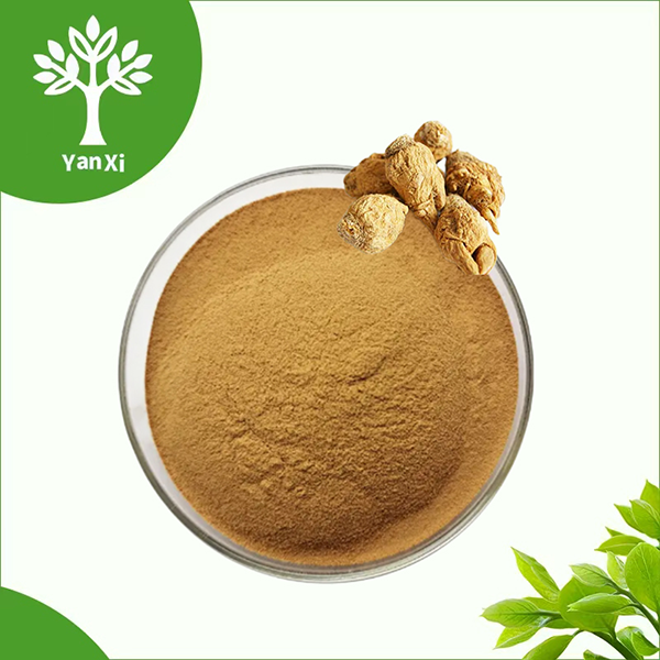 Maca Wortel Extract Poeder Maca Wortel Extract Poeder