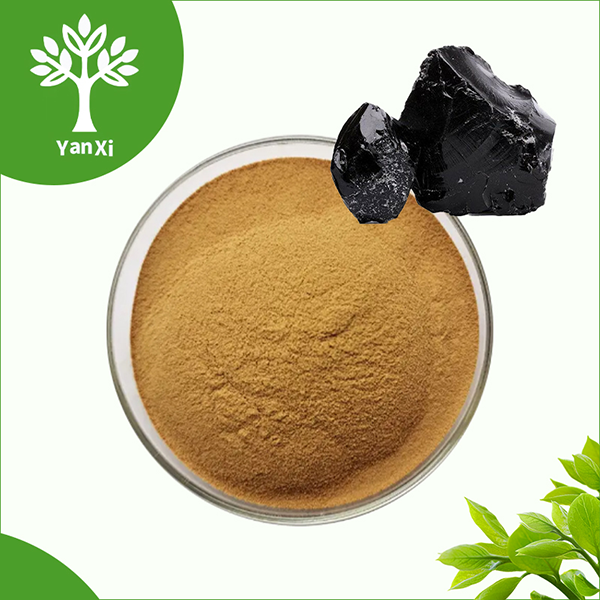 Shilajit-extractpoeder Shilajit-extractpoeder