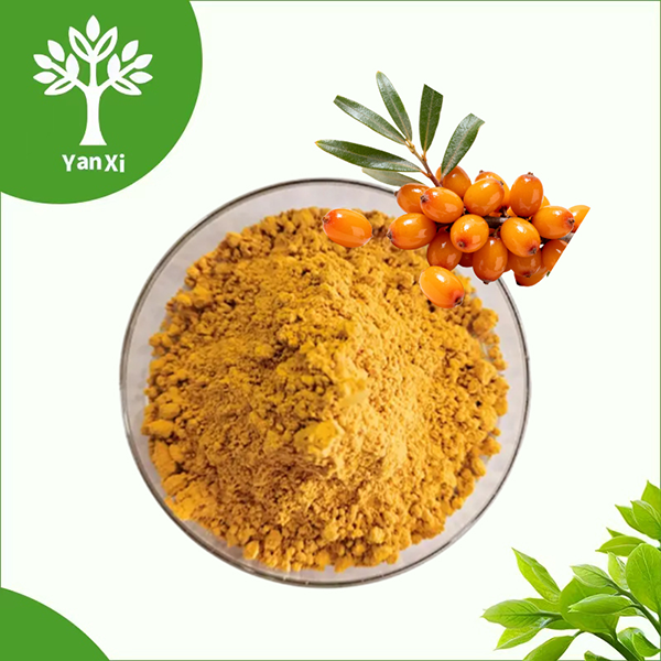 Deti Buckthorn Pluhur Bulk